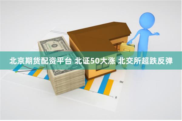 北京期货配资平台 北证50大涨 北交所超跌反弹