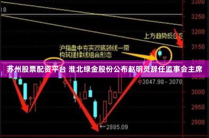 苏州股票配资平台 淮北绿金股份公布赵明灵辞任监事会主席