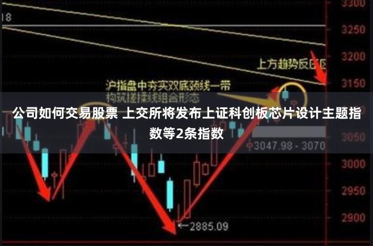 公司如何交易股票 上交所将发布上证科创板芯片设计主题指数等2条指数