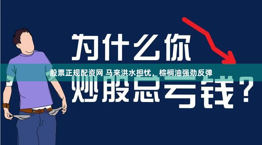 股票正规配资网 马来洪水担忧,棕榈油强劲反弹